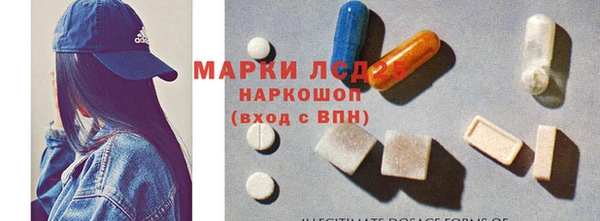 мдпв Магас