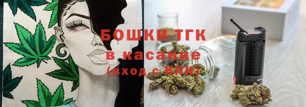 мдпв Магас