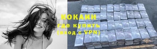 мдпв Магас