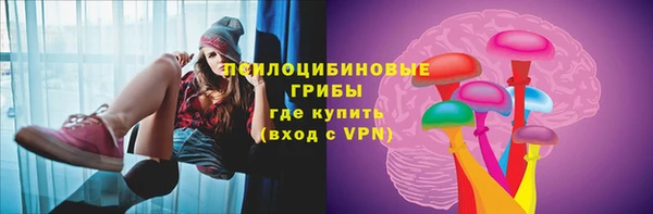 мдпв Магас
