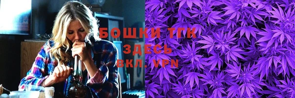 мдпв Магас