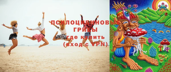 мдпв Магас