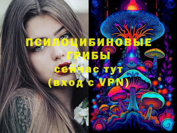 мдпв Магас