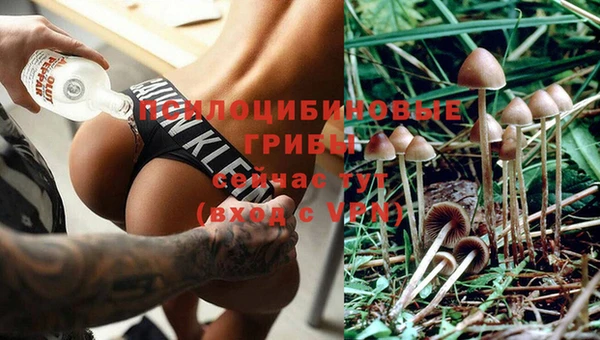 мдпв Магас