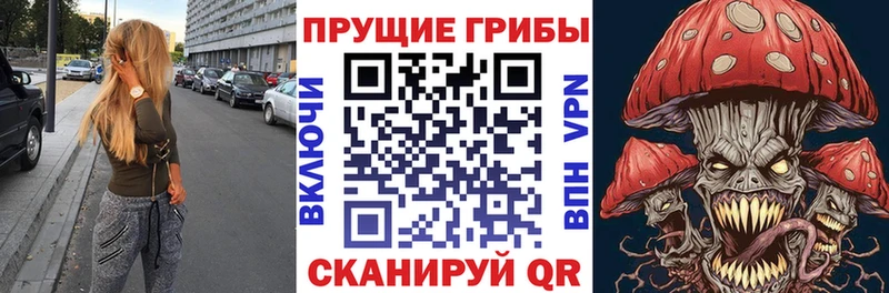 Псилоцибиновые грибы мухоморы  Купить где  Цимлянск 