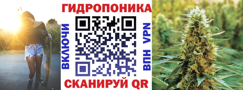 Купить  Цимлянск  Бошки Шишки MAZAR 